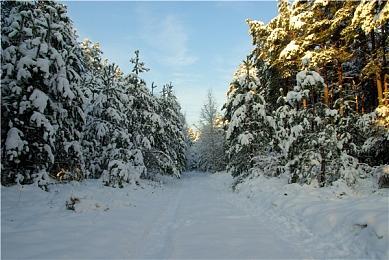 上市半个月仅有1＆4玩家通关《战神：诸神黄昏》